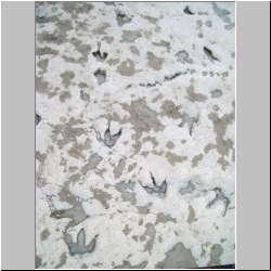 100_0925 (2009-27-07)m.JPG